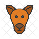 پیش‌نمایش فایل kangaroo-face-11492409 از پک چهره‌های حیوان