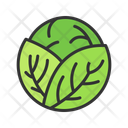 پیش‌نمایش فایل cabbage-11614379 از پک غذا