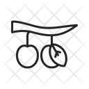 پیش‌نمایش فایل berries-12908859 از پک پاییز