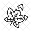 پیش‌نمایش فایل broken-leaf-12908865 از پک پاییز