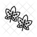 پیش‌نمایش فایل leaf-i-12908880 از پک پاییز
