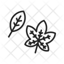 پیش‌نمایش فایل leaf-ii-12908881 از پک پاییز