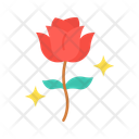 پیش‌نمایش فایل rose-13900796 از پک روز زنان