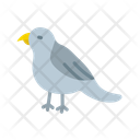پیش‌نمایش فایل bird-14093867 از پک شکار