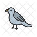 پیش‌نمایش فایل bird-14110500 از پک شکار