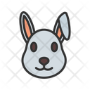 پیش‌نمایش فایل bunny-14110533 از پک شکار