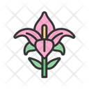 پیش‌نمایش فایل lily-14379005 از پک روز عید پاک