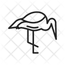 پیش‌نمایش فایل crane-14441649 از پک پرندگان