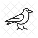 پیش‌نمایش فایل crow-14441652 از پک پرندگان