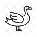 پیش‌نمایش فایل goose-14441657 از پک پرندگان
