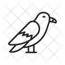 پیش‌نمایش فایل kite-14441665 از پک پرندگان