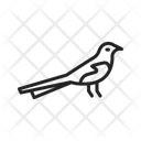 پیش‌نمایش فایل magpie-14441667 از پک پرندگان