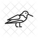 پیش‌نمایش فایل oyestercatcher-14441672 از پک پرندگان