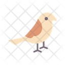 پیش‌نمایش فایل birds-14521967 از پک روز زمین
