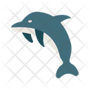 پیش‌نمایش فایل dolphin-14521977 از پک روز زمین