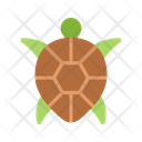 پیش‌نمایش فایل sea-turtle-14522005 از پک روز زمین