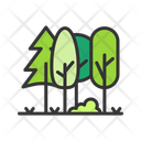 پیش‌نمایش فایل forest-14536459 از پک روز زمین