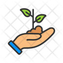 آیکن
