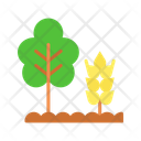 پیش‌نمایش فایل agroforestry-14965440 از پک کشاورزی ارگانیک و پایداری