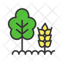 پیش‌نمایش فایل agroforestry-14965495 از پک کشاورزی ارگانیک و پایداری