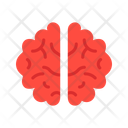 پیش‌نمایش فایل human-brain-15314742 از پک سئو و بازاریابی