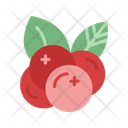 پیش‌نمایش فایل cranberries-15555409 از پک برداشت محصول پاییزی