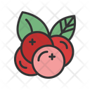 پیش‌نمایش فایل cranberries-15555765 از پک برداشت محصول پاییزی
