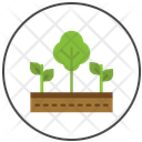 پیش‌نمایش فایل agroforestry-16844263 از پک کشاورزی ارگانیک و پایداری