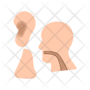 پیش‌نمایش فایل ent-1 از پک پزشکی