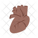 پیش‌نمایش فایل heart-986 از پک پزشکی