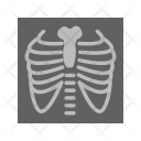پیش‌نمایش فایل lungs-50 از پک پزشکی
