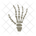 پیش‌نمایش فایل x-ray-4 از پک پزشکی