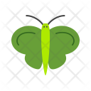 پیش‌نمایش فایل butterfly-206 از پک عید پاک