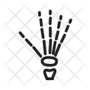 پیش‌نمایش فایل x-32 از پک پزشکی