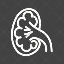 پیش‌نمایش فایل kidney-26 از پک پزشکی