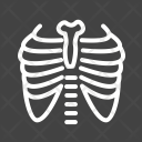 پیش‌نمایش فایل lungs-54 از پک پزشکی