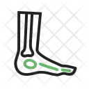 پیش‌نمایش فایل foot-23 از پک پزشکی
