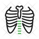 پیش‌نمایش فایل lungs-55 از پک پزشکی