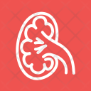 پیش‌نمایش فایل kidney-28 از پک پزشکی