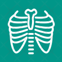 پیش‌نمایش فایل lungs-56 از پک پزشکی
