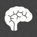 پیش‌نمایش فایل brain-264 از پک پزشکی