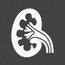 پیش‌نمایش فایل kidney-30 از پک پزشکی