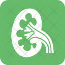 پیش‌نمایش فایل kidney-31 از پک پزشکی