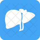 پیش‌نمایش فایل liver-28 از پک پزشکی