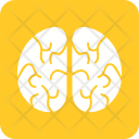 پیش‌نمایش فایل brain-267 از پک هالووین