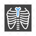 پیش‌نمایش فایل lungs-60 از پک پزشکی