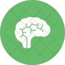 پیش‌نمایش فایل brain-276 از پک پزشکی