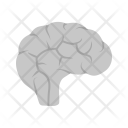 پیش‌نمایش فایل brain-278 از پک پزشکی