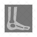 پیش‌نمایش فایل foot-30 از پک پزشکی