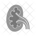 پیش‌نمایش فایل kidney-35 از پک پزشکی